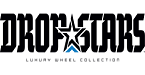 Logo Dropstars